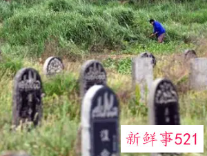 梦见去自家坟地上坟