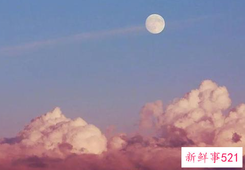 人性定律是什么意思