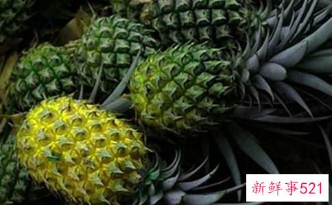 梦见吃菠萝预示着什么