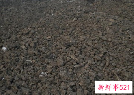 发酵鸡粪土怎么用