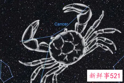 巨蟹女穿衣很高档