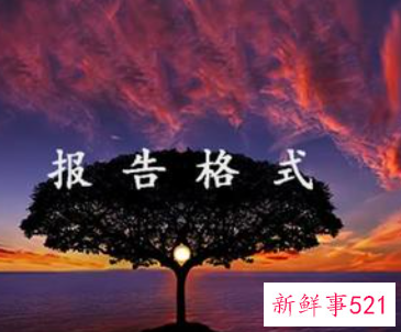 反映情况的报告的标题格式