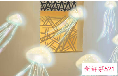 属虎住宅最佳方位