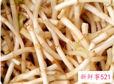 吃鱼腥草的危害