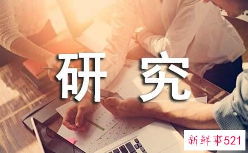 可行性研究报告心得体会范文