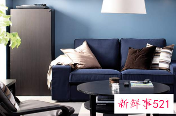 室内除异味用什么效果最好