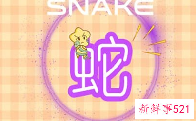 生肖蛇2022年运势及运程