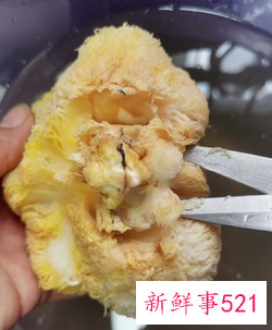 干猴头菇怎样炖鸡汤