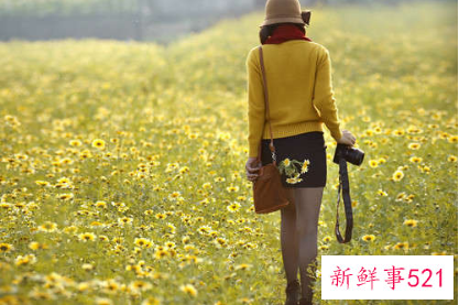 12星座追求者有多少人