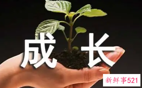 自我成长和工作感悟