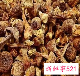 赤松茸的保存方法