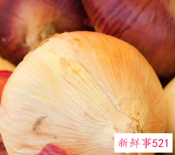 室内除异味用什么效果最好