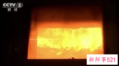 有400万的水貂被焚烧