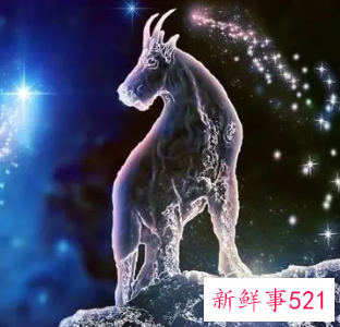 不联系摩羯女的后果