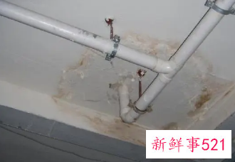 女人梦见家里屋顶漏水