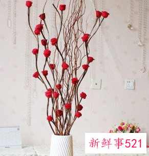 家里摆放干花有啥讲究