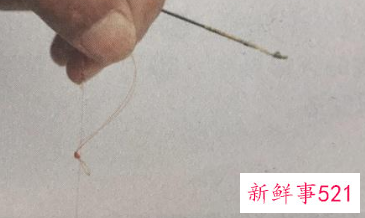 新手钓鱼怎么把鱼线绑到杆上