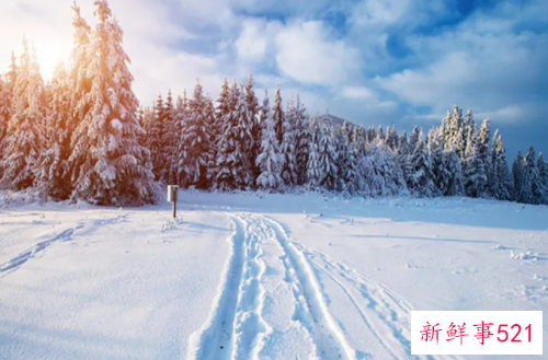 梦见地上厚厚的雪是什么意思