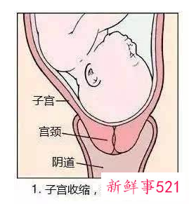 顺产后第一次同房感觉往肛门挤压