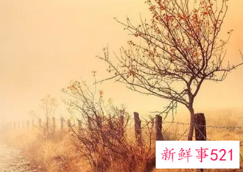 好听的公司名字