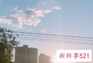 好听的公司名字