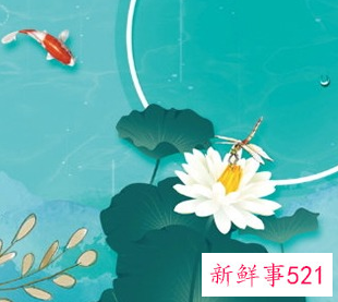 属猪下半年运势好不好