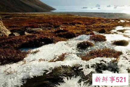 全球变暖会导致冬天变冷吗