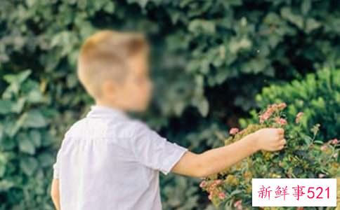 闫姓男孩名字属牛