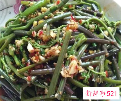 蕨菜怎么处理晒干