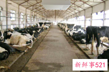 养殖场安全隐患排查工作总结