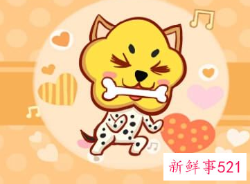 属狗的适不适合做生意