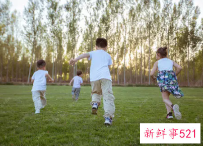 6岁孩子应该学会哪些知识