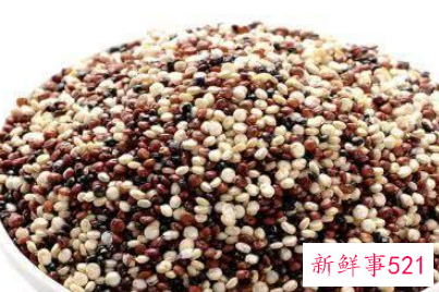 优质蛋白质主要来源于哪些食物