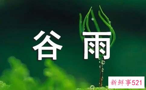 谷雨时节的风俗活动