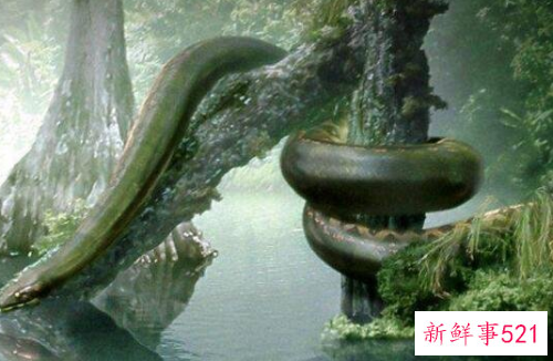 人类已知最大的蛇