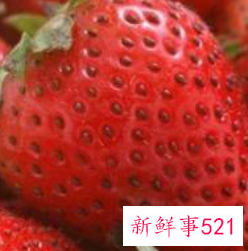 新鲜草莓怎么保存时间长