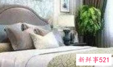 卧室里不能放什么东西