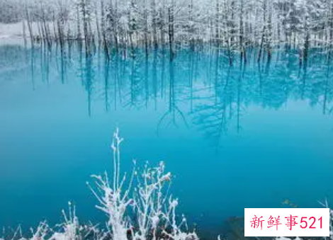 幼儿园中班冬季取暖安全教案