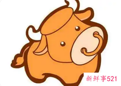 属牛的住房方向与位置