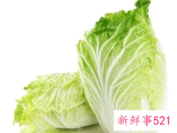 白菜的功效与作用禁忌及食用方法