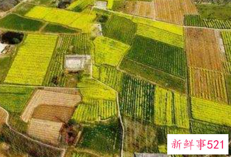 常德一日游好玩地方