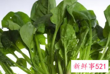 菠菜有哪些人不能吃