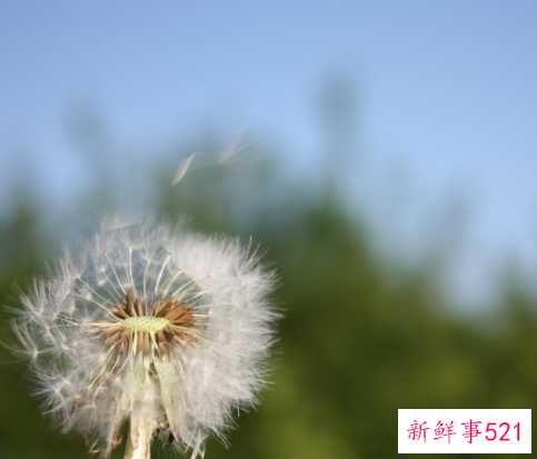 乐观积极的心态面对生活