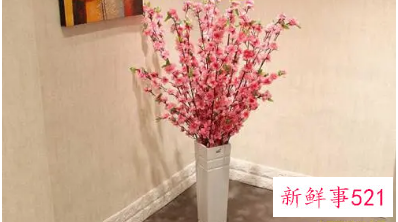 小心家居风水挡住桃花