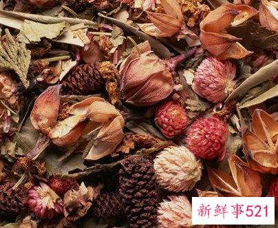 家里摆放干花有啥讲究