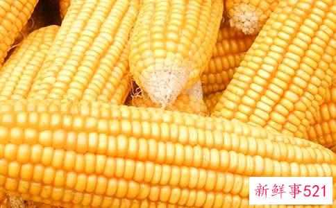 梦见背玉米是什么征兆