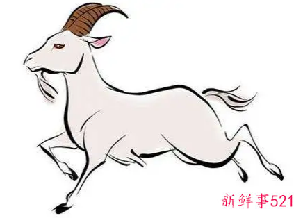 91年属羊财运好吗