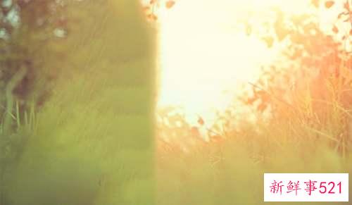 唯美古风微信名字