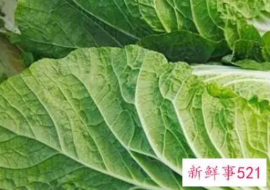 白菜的功效与作用禁忌及食用方法