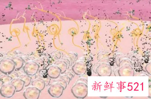 怎么减少黑色素